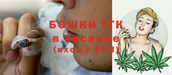 сатива Ельня