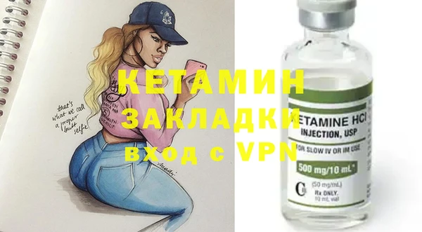 apvp Дмитриев