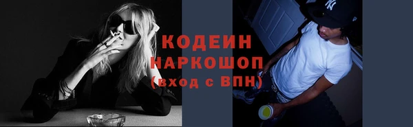 дмт Дмитровск