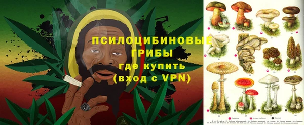 apvp Дмитриев