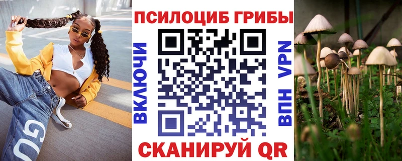 наркошоп  Пролетарск  Псилоцибиновые грибы GOLDEN TEACHER 